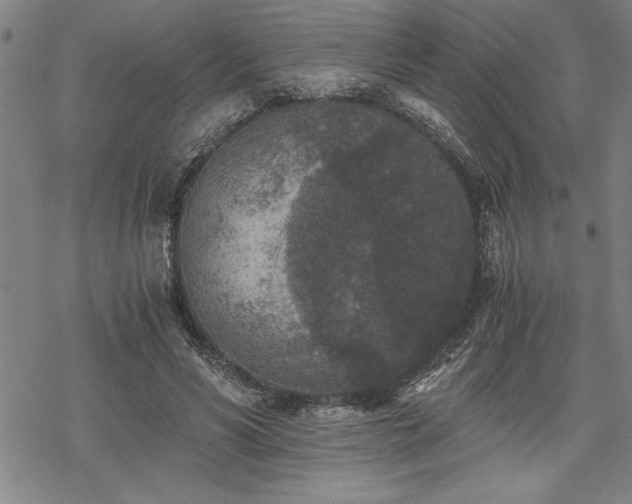 X0000069830590200605221209