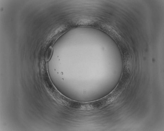 X0000069830591200605221209