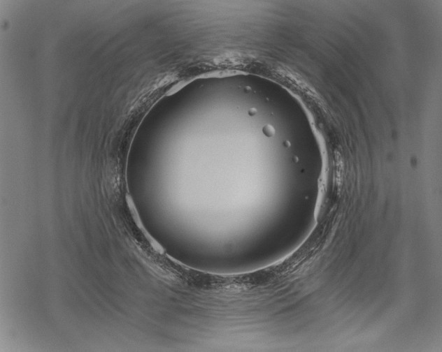 X0000069830593200605221209