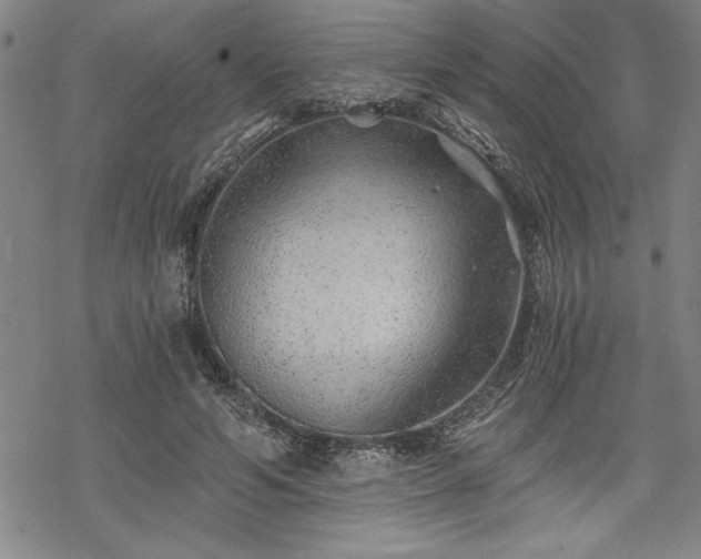 X0000069830594200605221209