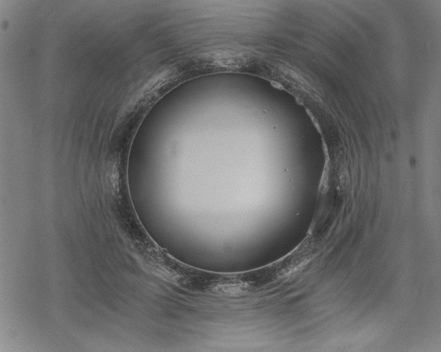 X0000069830595200605221209