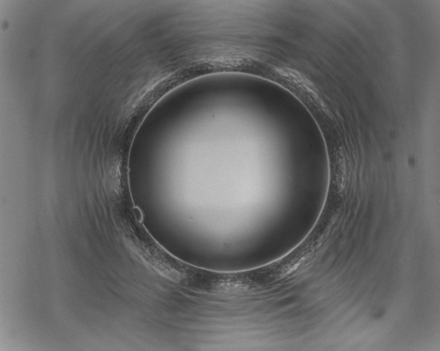 X0000069830596200605221209