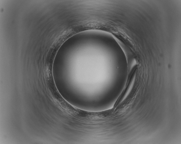 X0000069830597200605221209