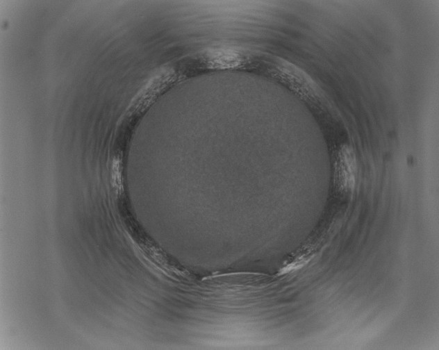 X0000069830598200605221209