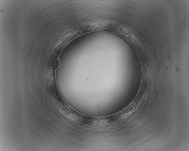 X0000069830599200605221209