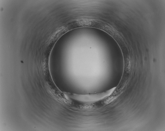 X0000069830600200605221209