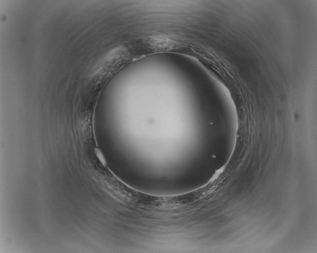 X0000069830601200605221209