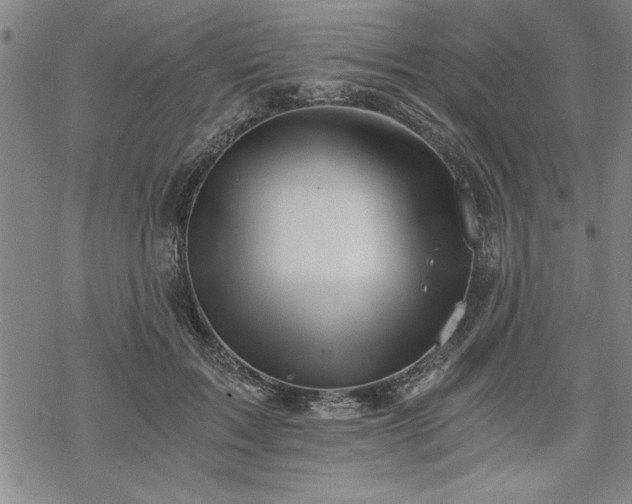 X0000069830603200605221209