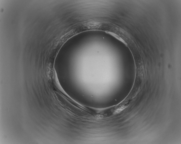 X0000069830604200605221209