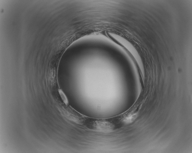 X0000069830605200605221209