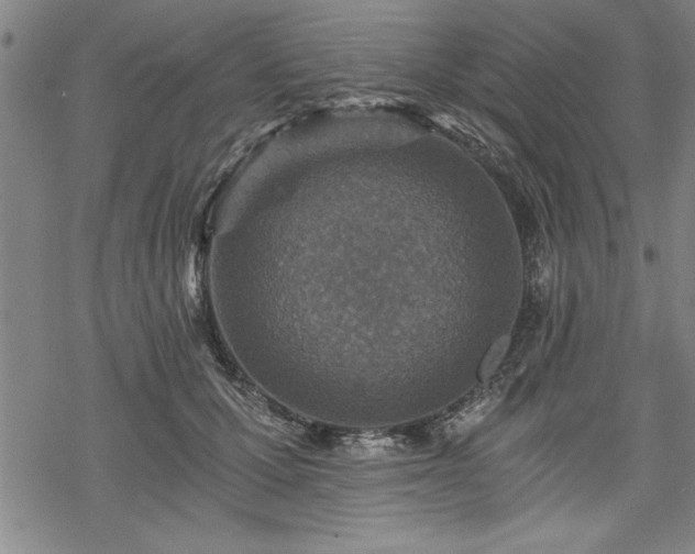 X0000069830607200605221209