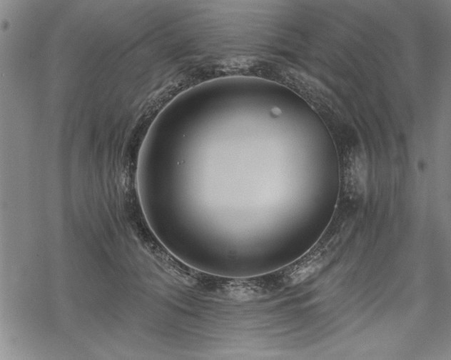 X0000069830608200605221209