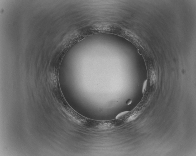 X0000069830609200605221209