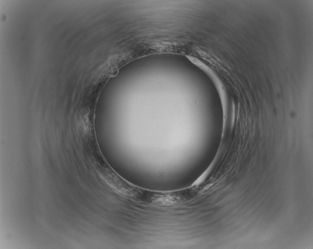 X0000069830611200605221208