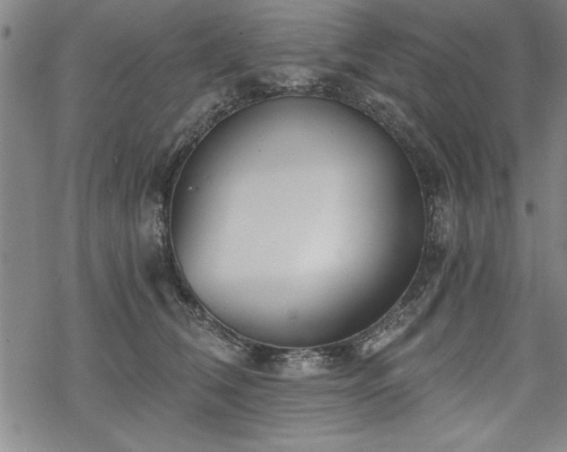 X0000069830612200605221208