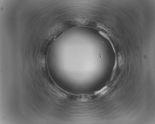 X0000069830613200605221208