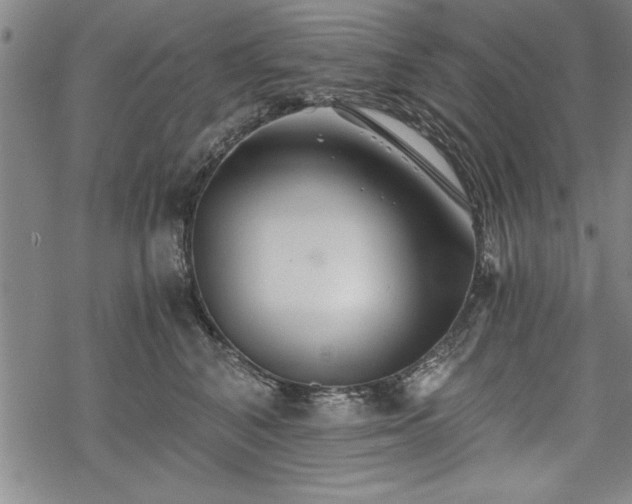 X0000069830616200605221208