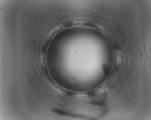 X0000069830619200605221208