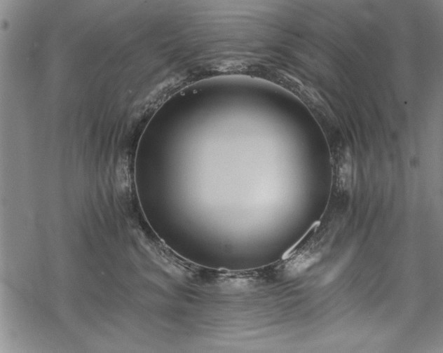 X0000069830620200605221208