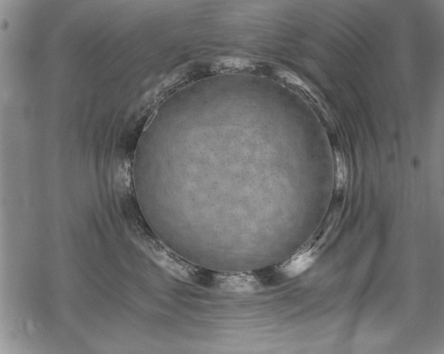 X0000069830621200605221208