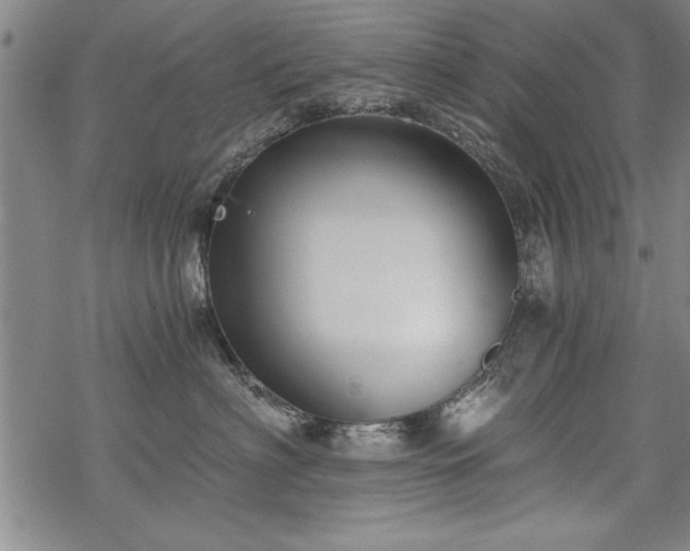 X0000069830622200605221208