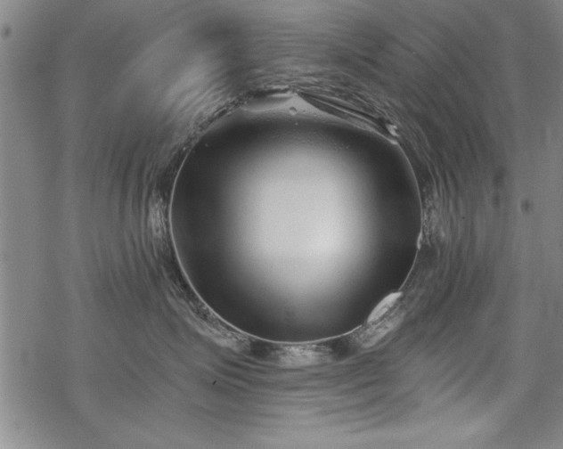 X0000069830623200605221208