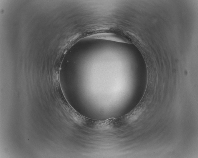 X0000069830624200605221208