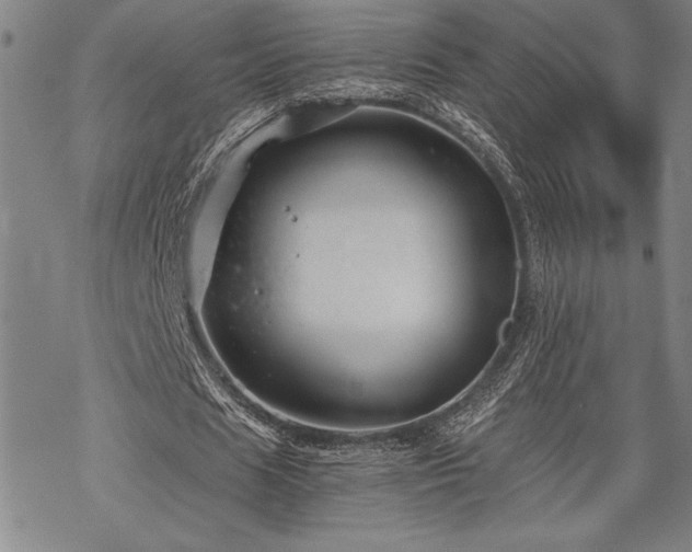 X0000069830625200605221207