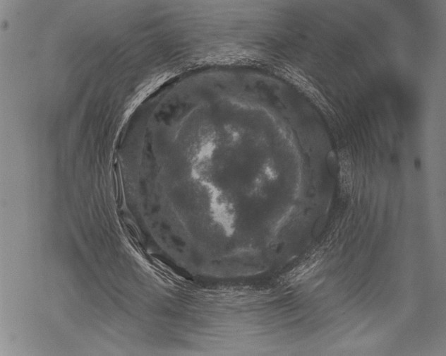 X0000069830626200605221208