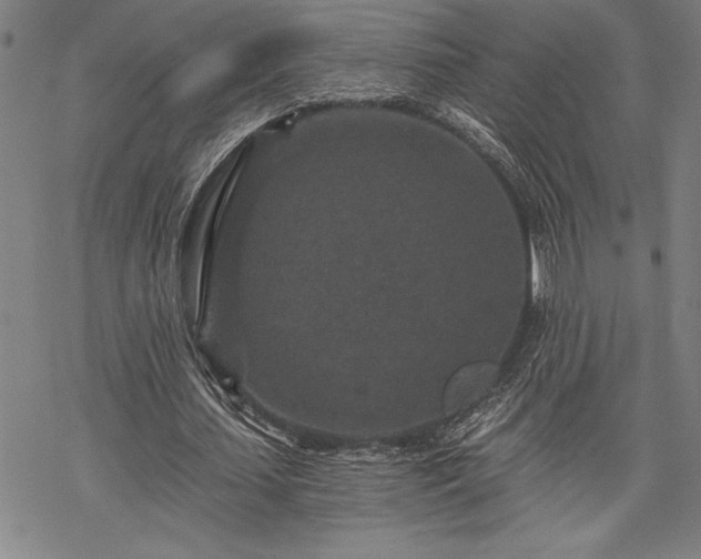 X0000069830627200605221208