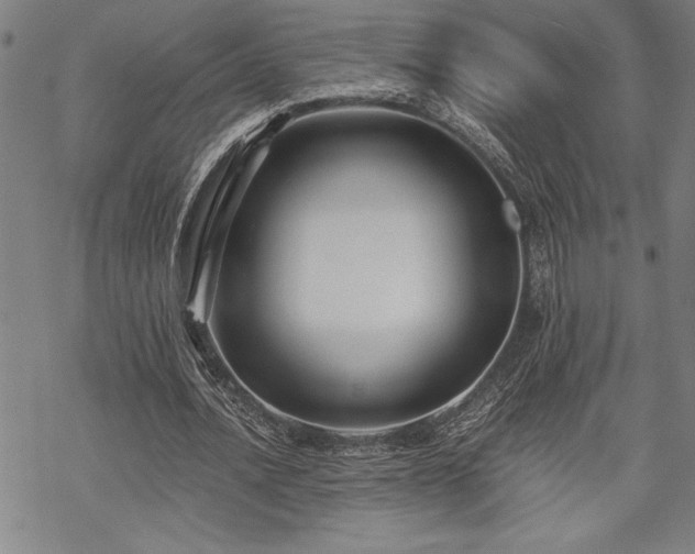 X0000069830628200605221208