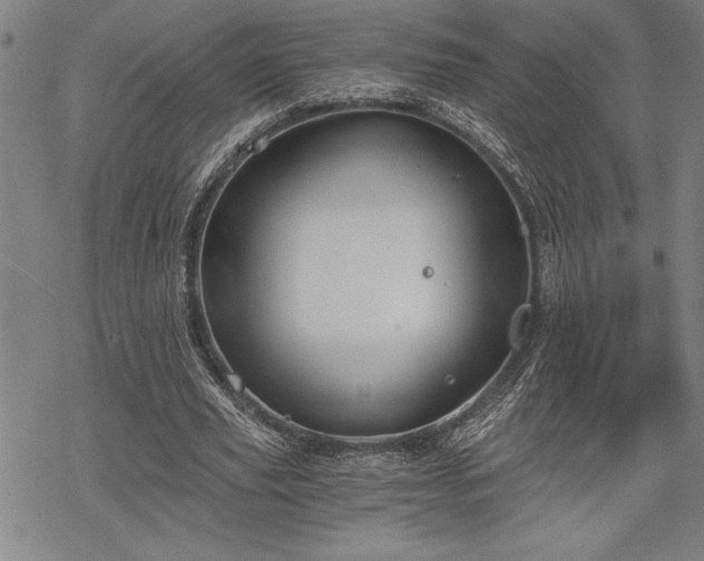 X0000069830629200605221208