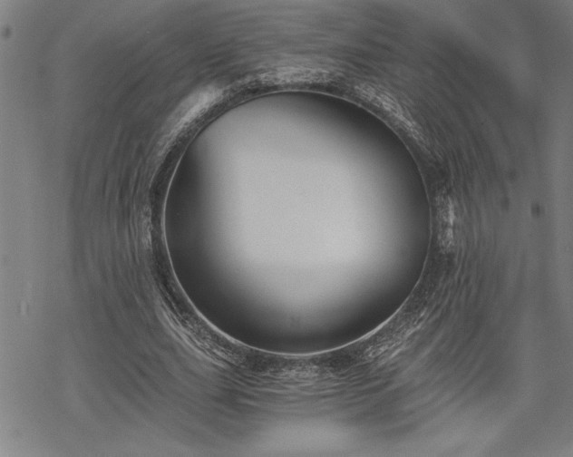 X0000069830631200605221208