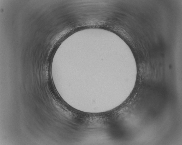 X0000069830632200605221208