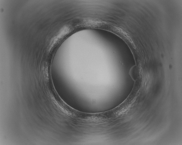 X0000069830633200605221208