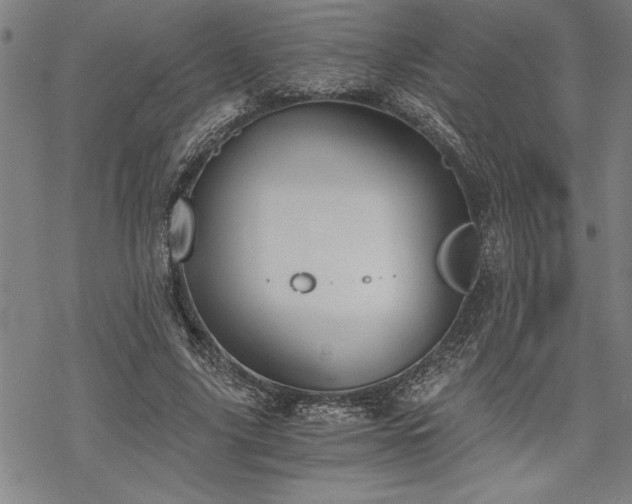 X0000069830635200605221208