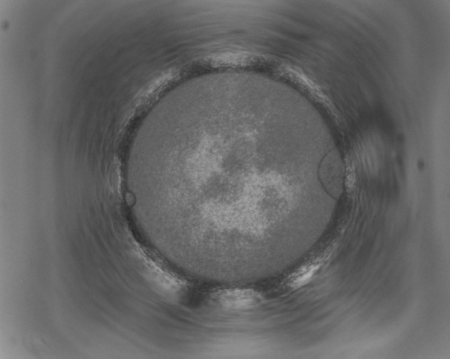 X0000069830637200605221208