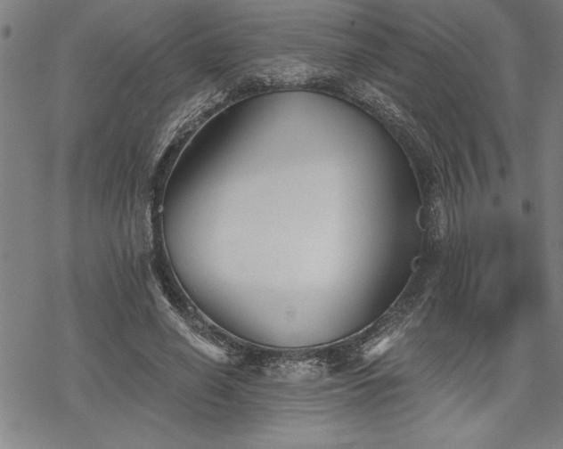 X0000069830638200605221208