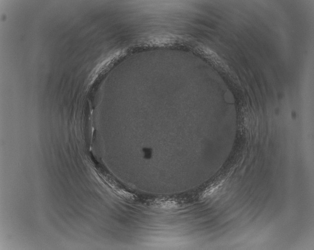 X0000069830640200605221208