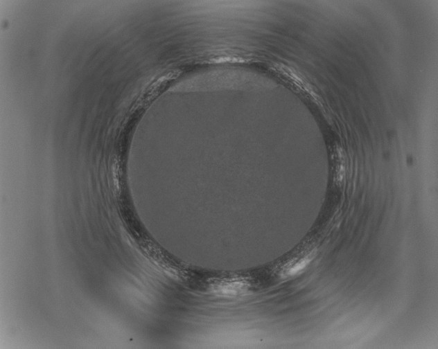 X0000069830643200605221208