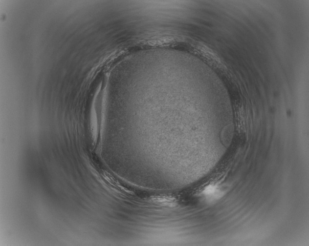 X0000069830644200605221208