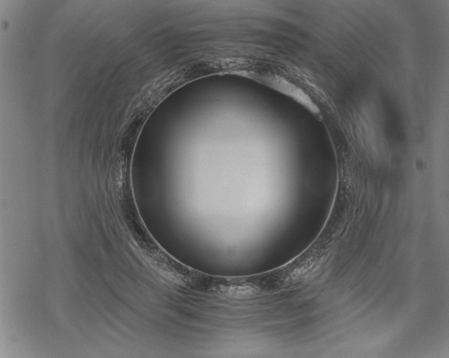 X0000069830645200605221208