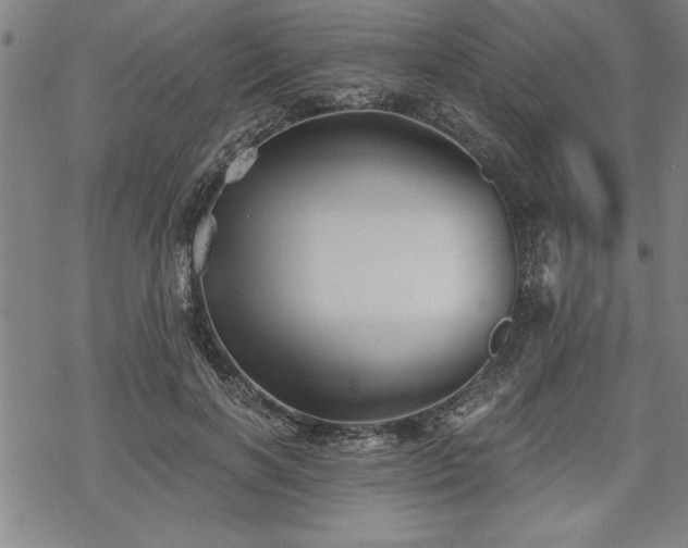 X0000069830646200605221208