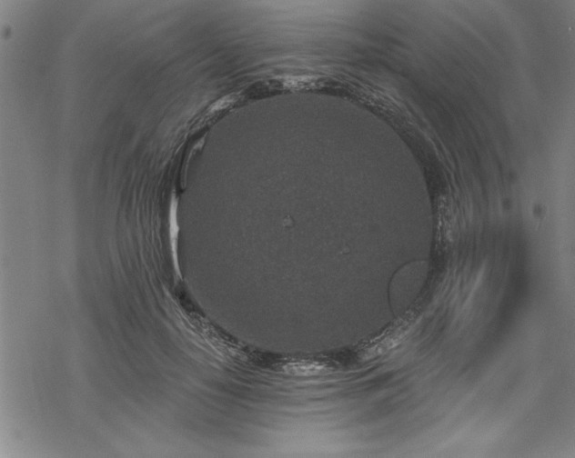 X0000069830650200605221208