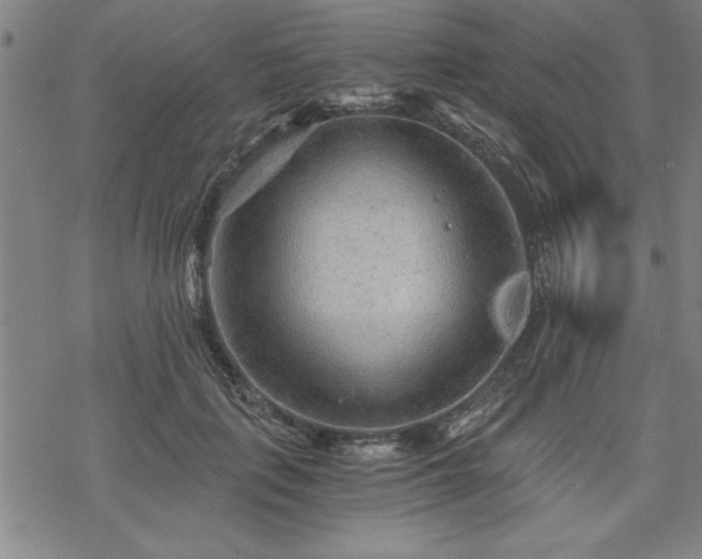 X0000069830651200605221208