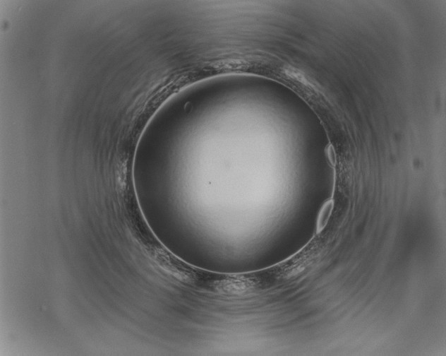 X0000069830652200605221208