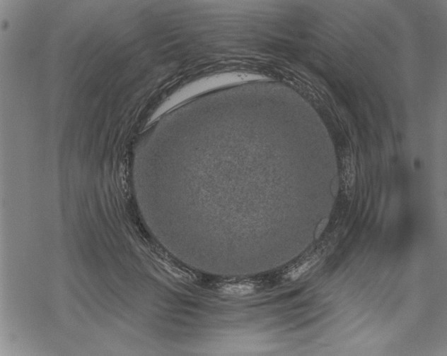 X0000069830653200605221208