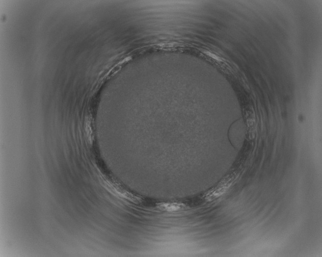 X0000069830654200605221208