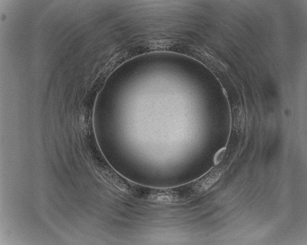 X0000069830655200605221208