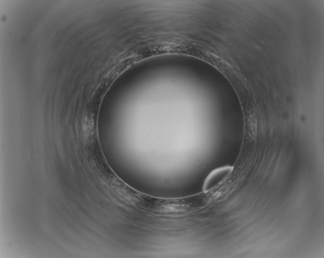 X0000069830657200605221208